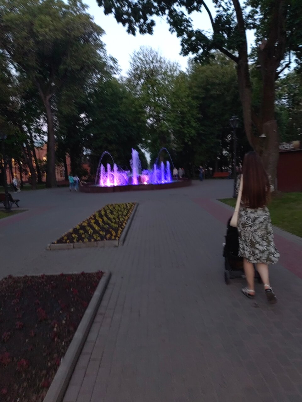 Гостиница Центральная Брянск-231