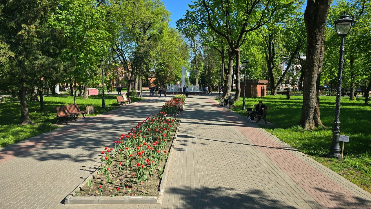 Гостиница Центральная Брянск-198