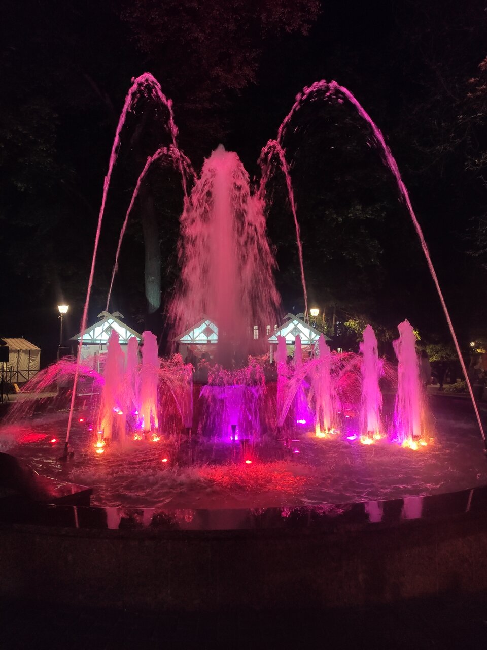 Гостиница Центральная Брянск-244