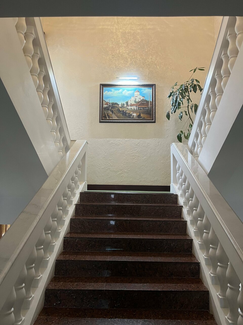 Гостиница Центральная Брянск-218