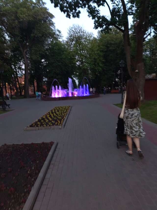 Гостиница Центральная Брянск-230