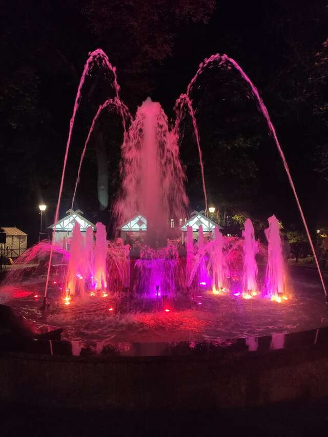 Гостиница Центральная Брянск-243