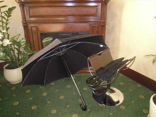 Гостиница Центральная Брянск-28